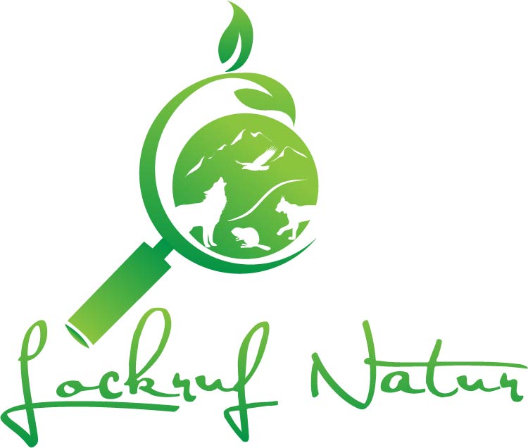 Lockruf Natur